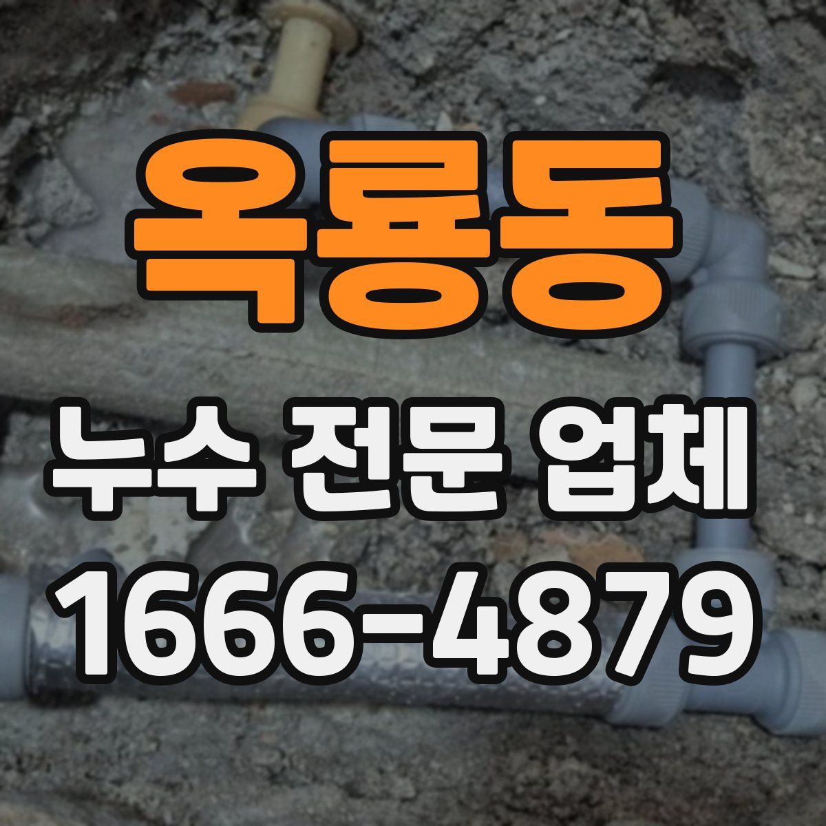 옥룡동 누수 전문 업체