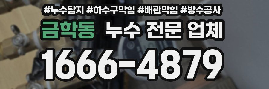 금학동 누수 전문 업체