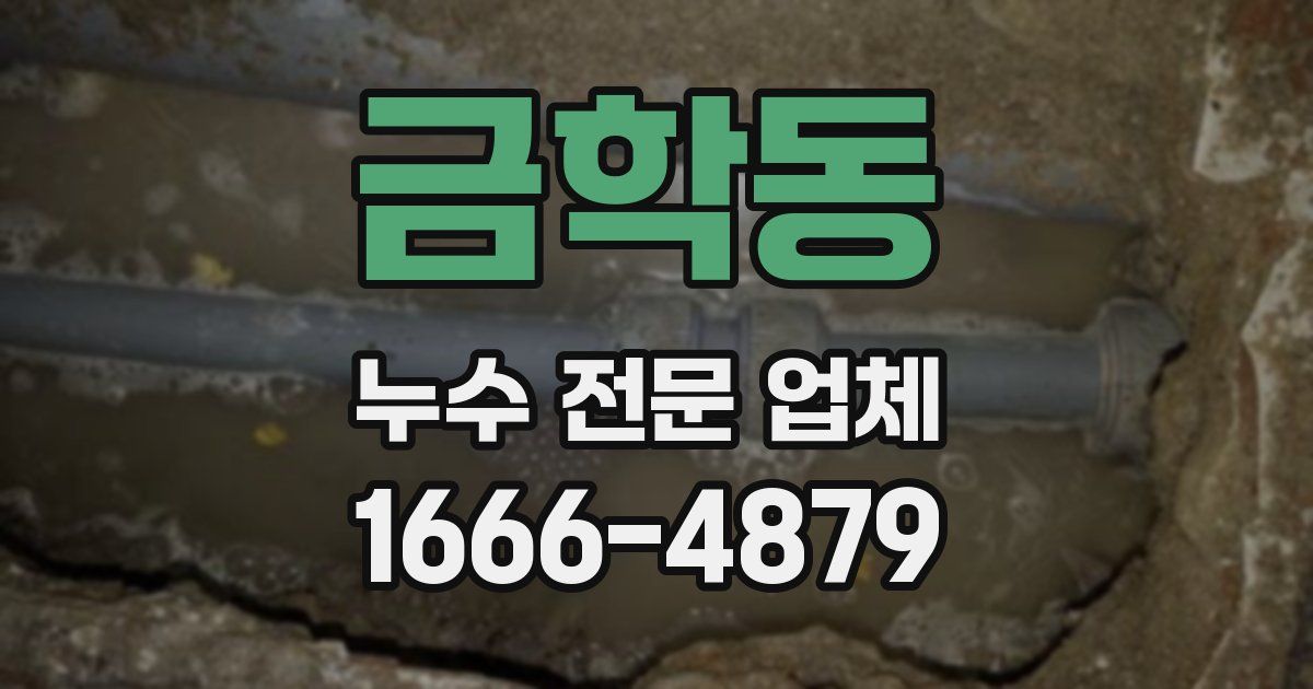 금학동 누수 전문 업체