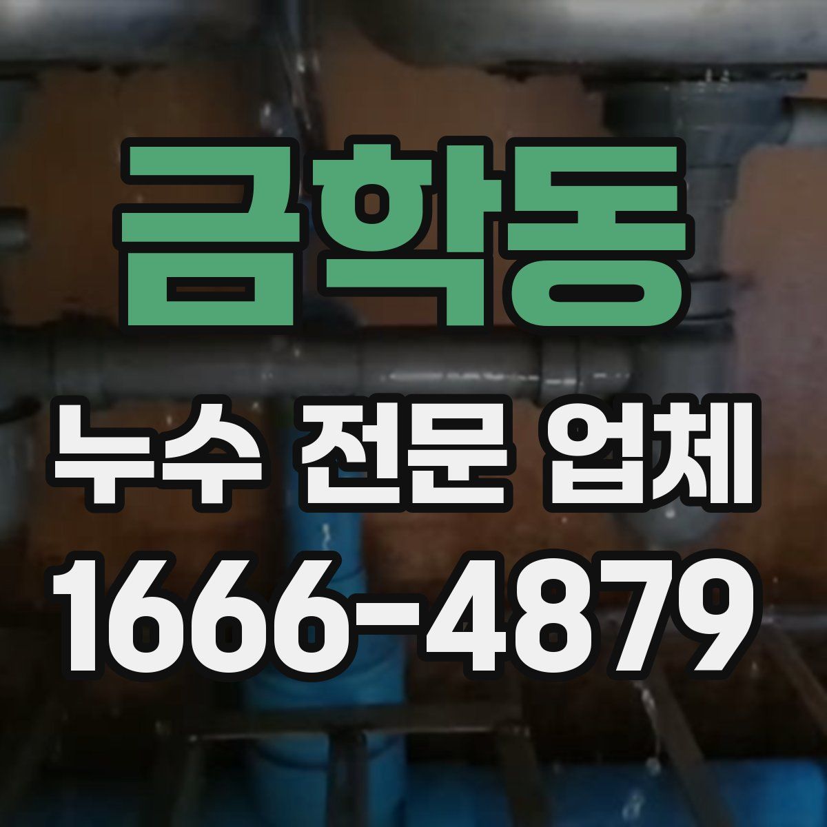 금학동 누수 전문 업체