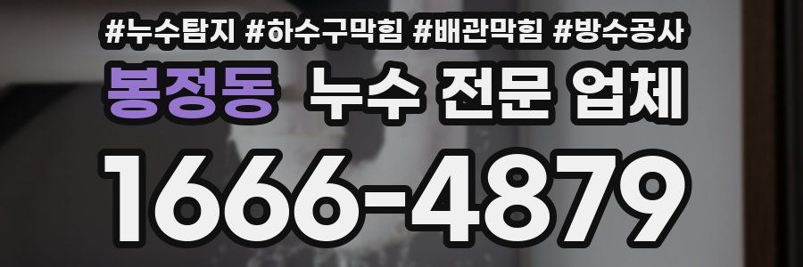 봉정동 누수 전문 업체