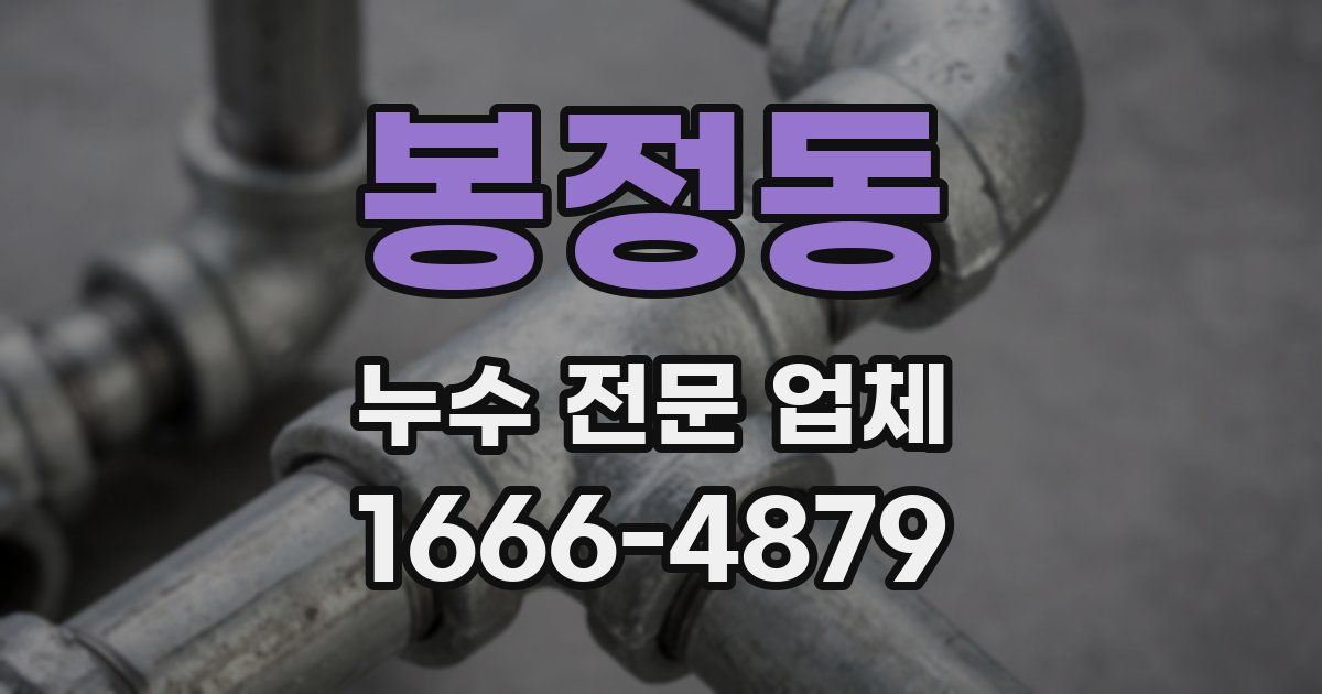 봉정동 누수 전문 업체
