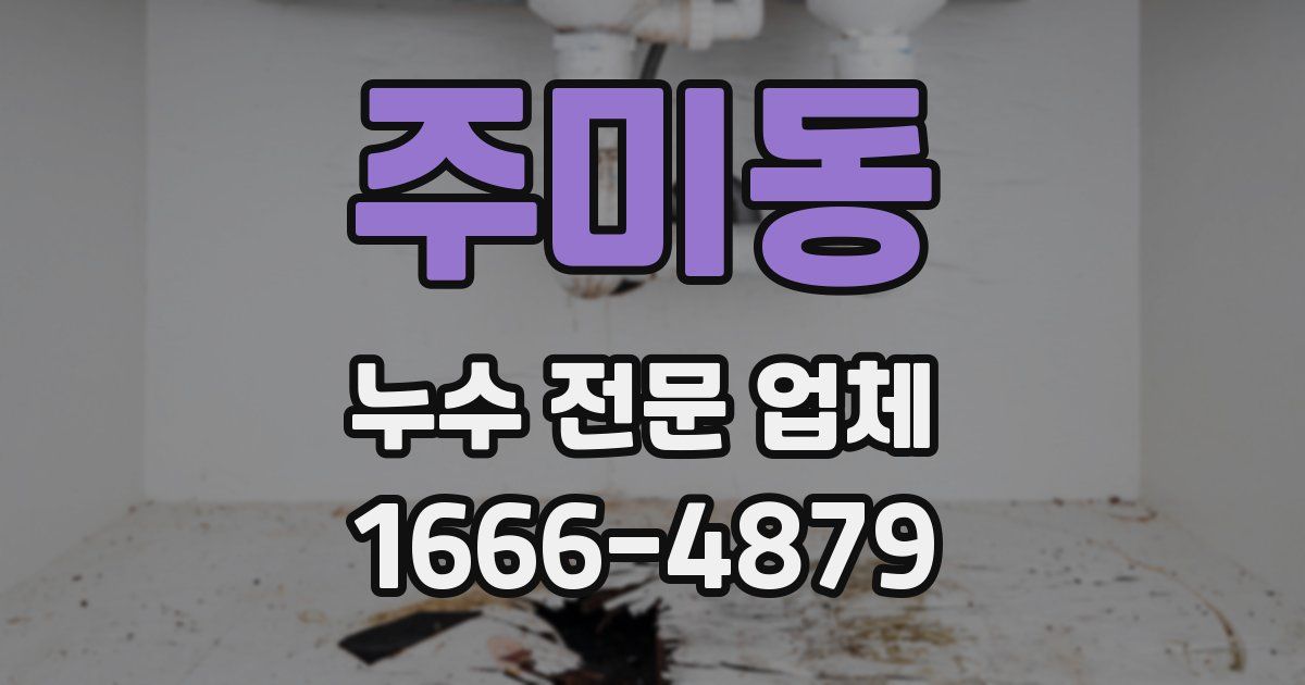 주미동 누수 전문 업체