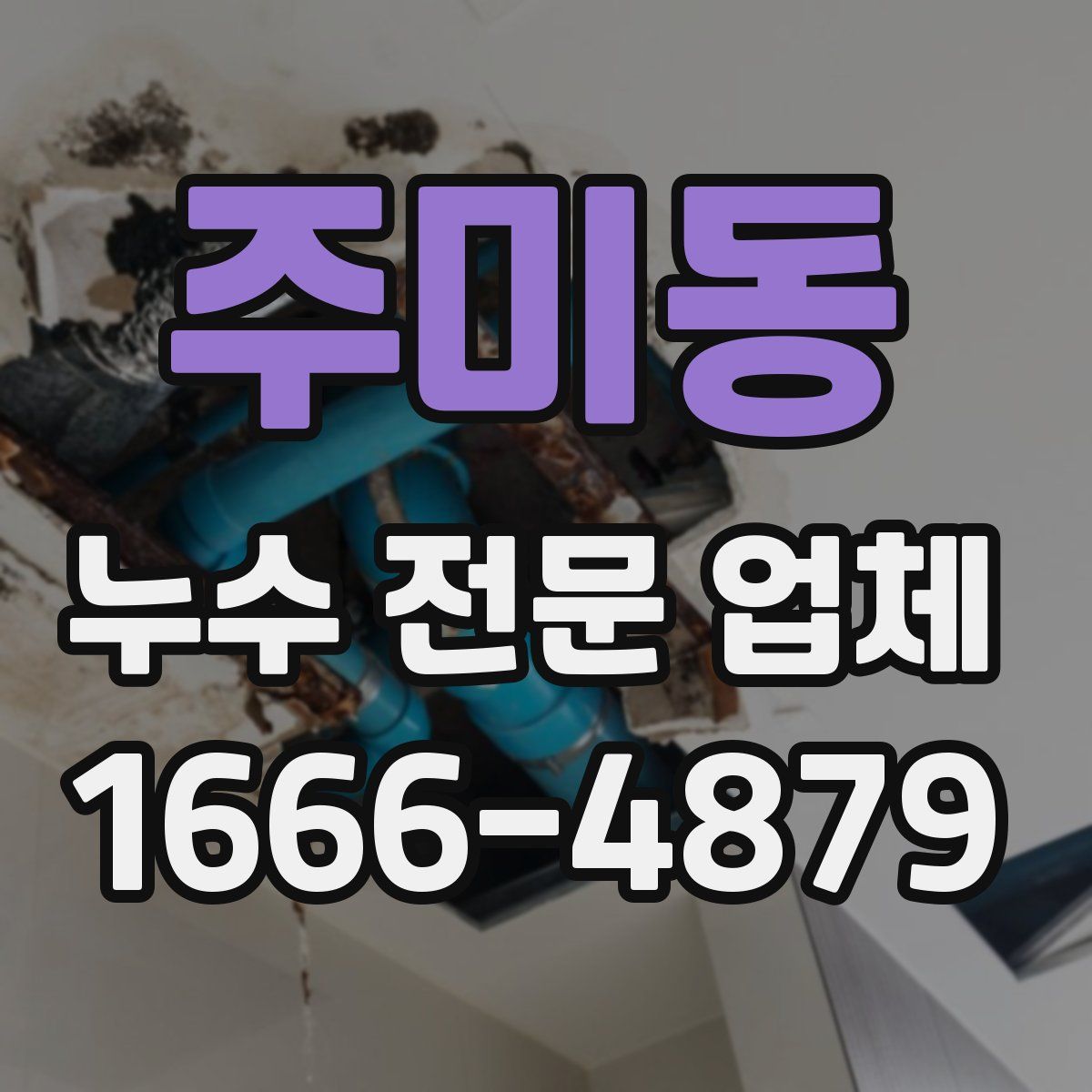 주미동 누수 전문 업체