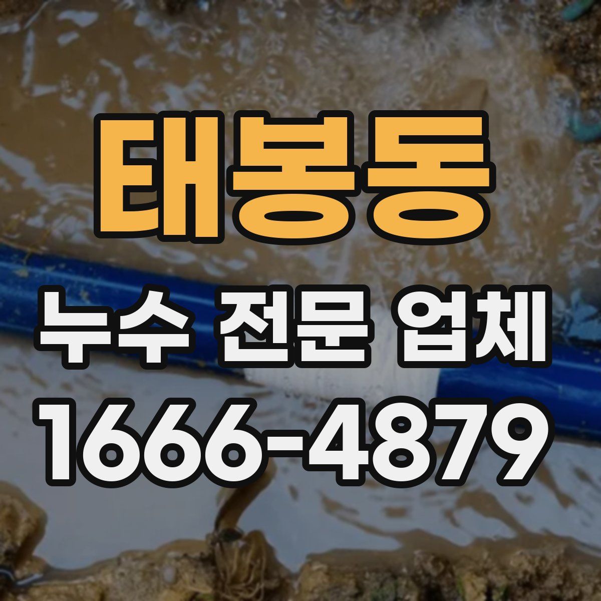 태봉동 누수 전문 업체