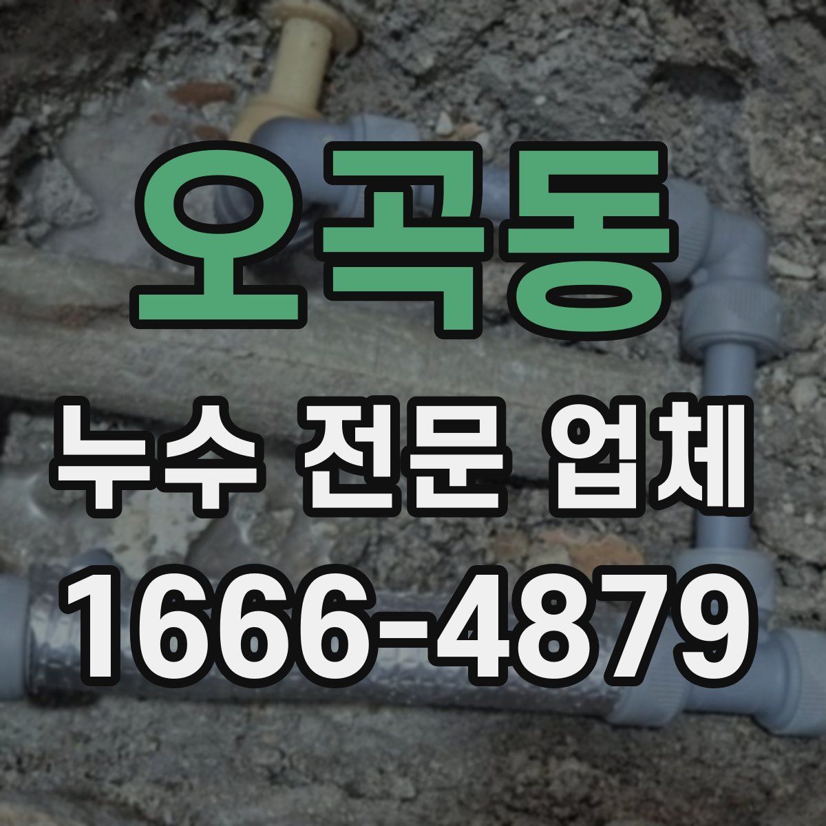 오곡동 누수 전문 업체