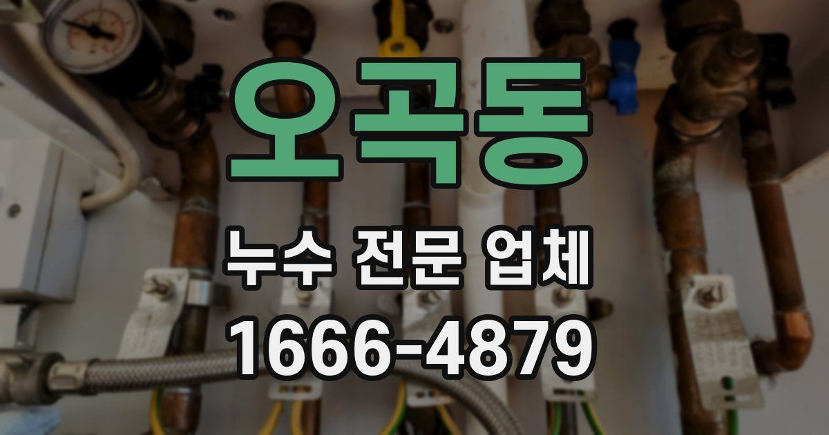오곡동 누수 전문 업체