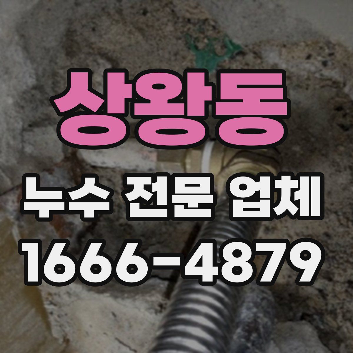 상왕동 누수 전문 업체