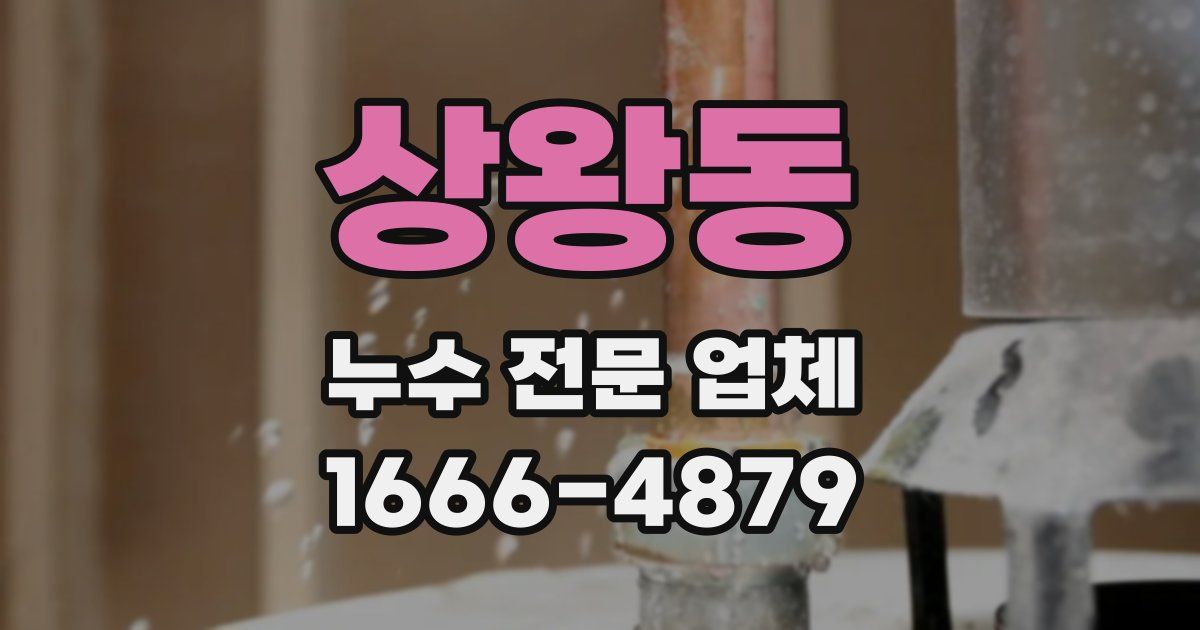 상왕동 누수 전문 업체