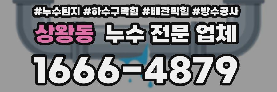 상왕동 누수 전문 업체