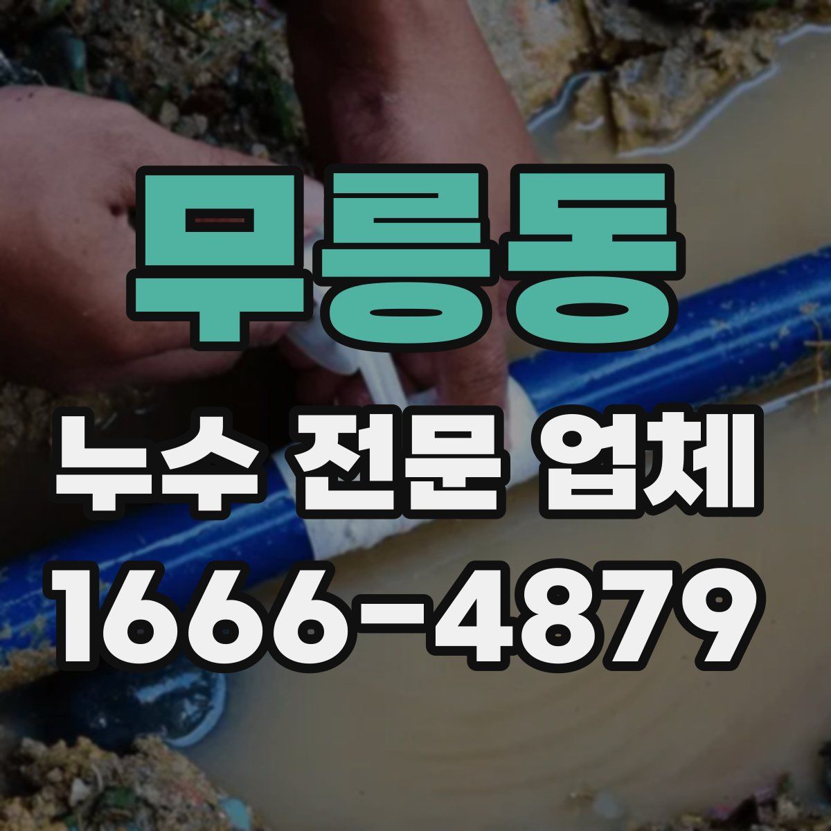 무릉동 누수 전문 업체