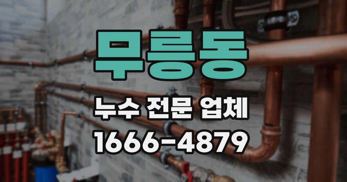 무릉동 누수 전문 업체