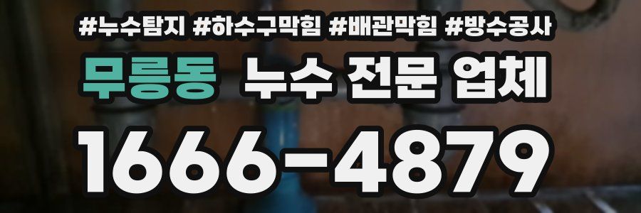 무릉동 누수 전문 업체