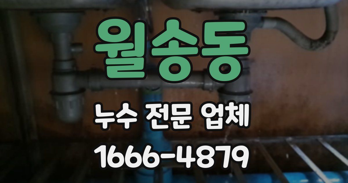 월송동 누수 전문 업체