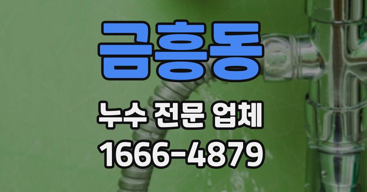 금흥동 누수 전문 업체