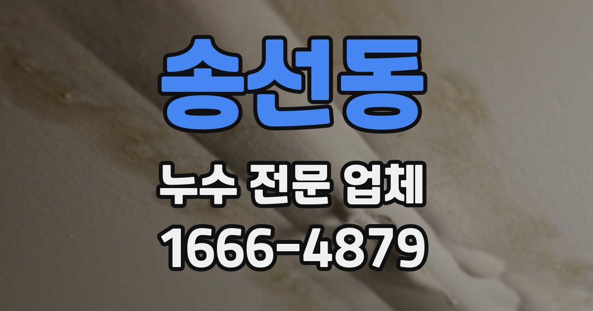 송선동 누수 전문 업체