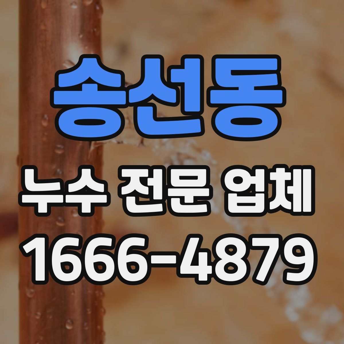 송선동 누수 전문 업체