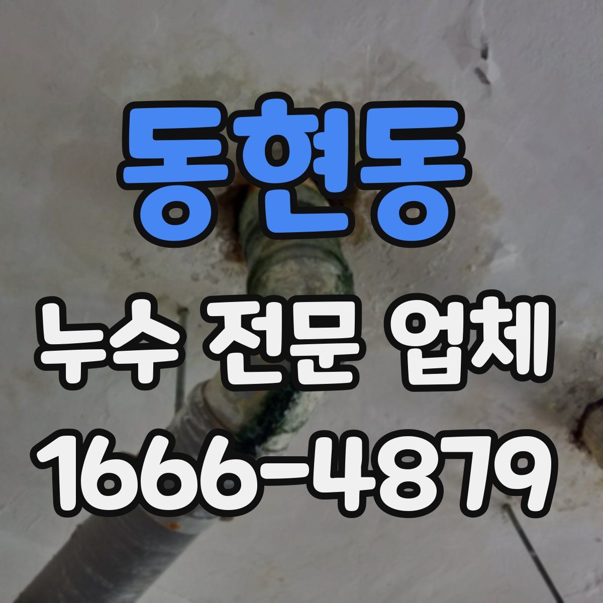 동현동 누수 전문 업체