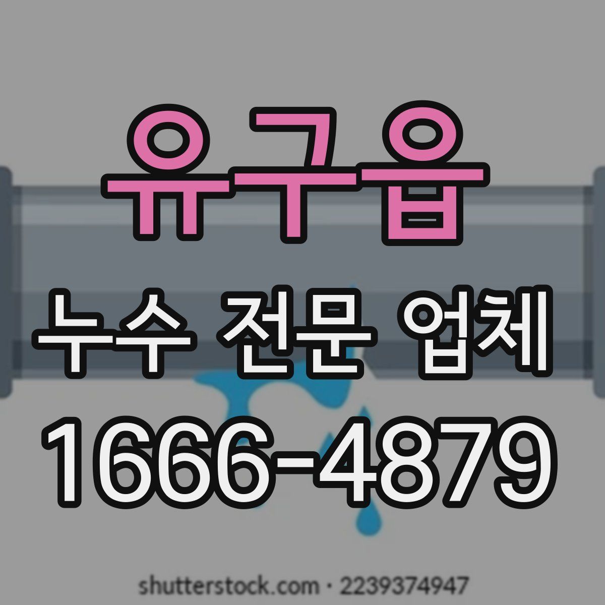 유구읍 누수 전문 업체