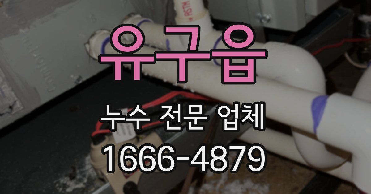 유구읍 누수 전문 업체