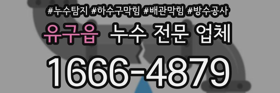 유구읍 누수 전문 업체