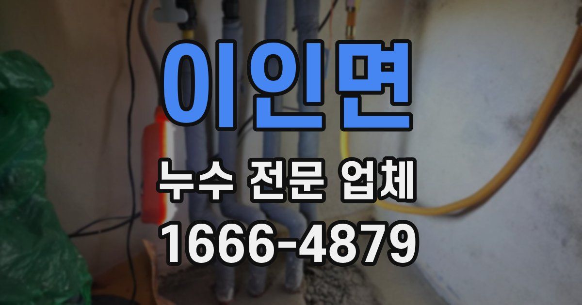 이인면 누수 전문 업체