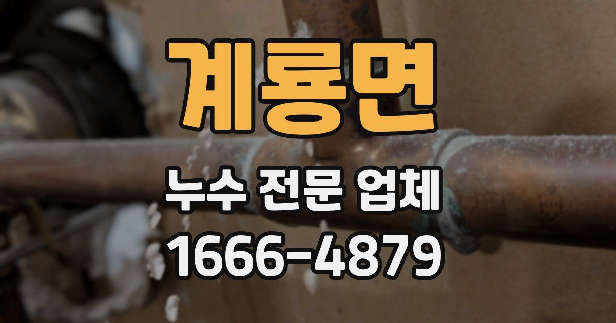 계룡면 누수 전문 업체