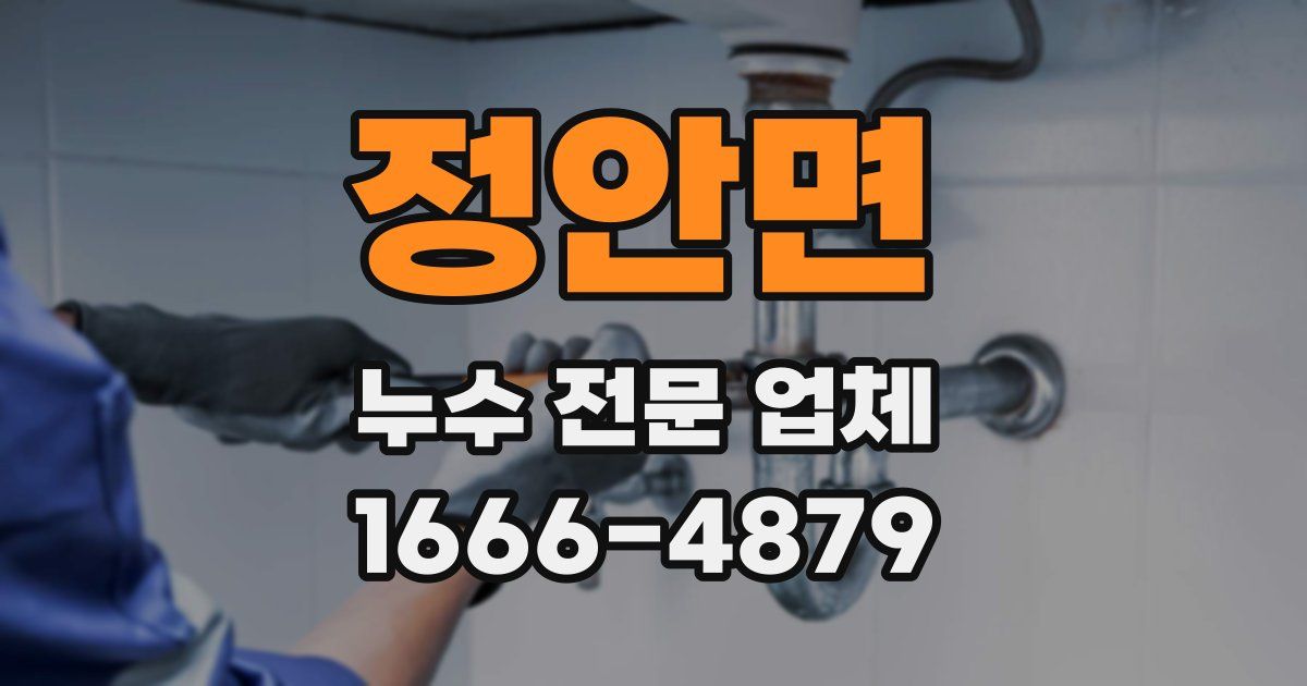 정안면 누수 전문 업체