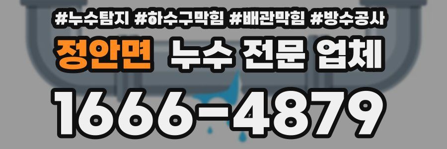 정안면 누수 전문 업체