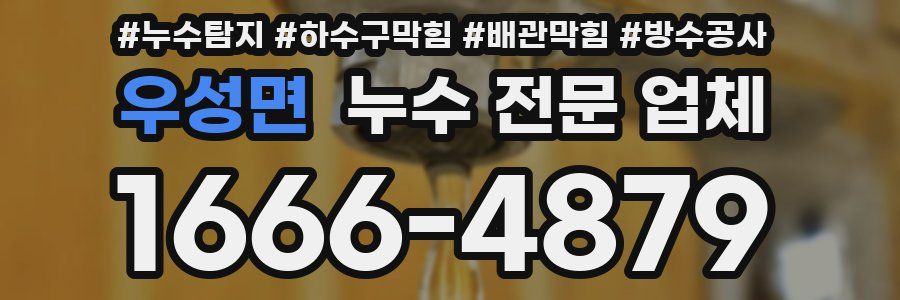 우성면 누수 전문 업체
