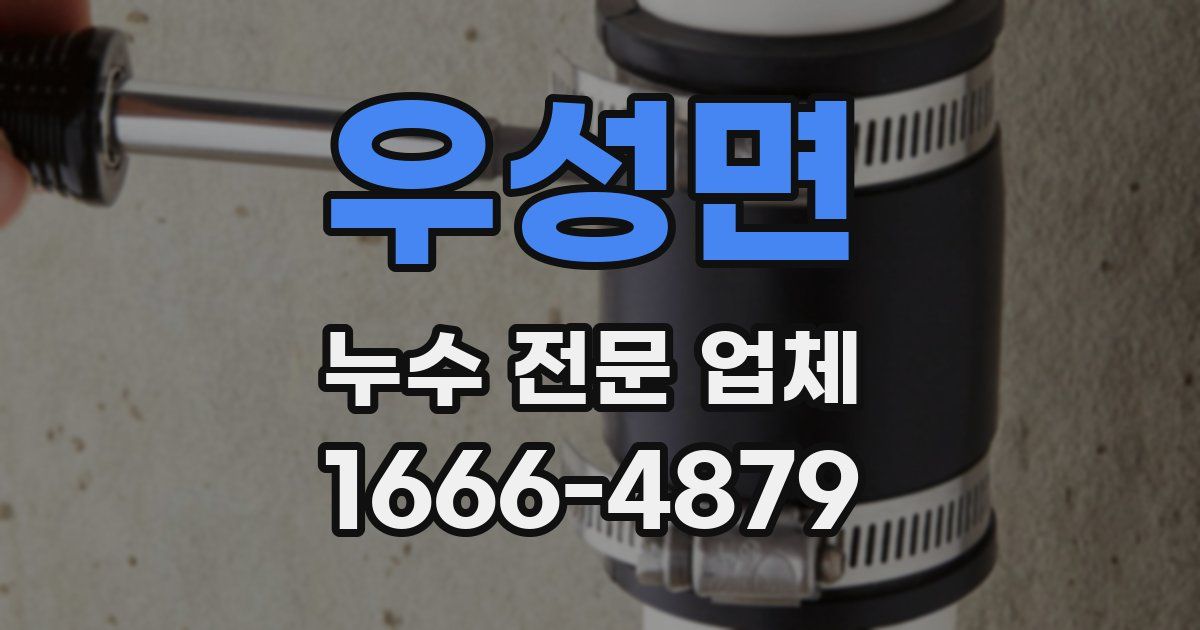 우성면 누수 전문 업체
