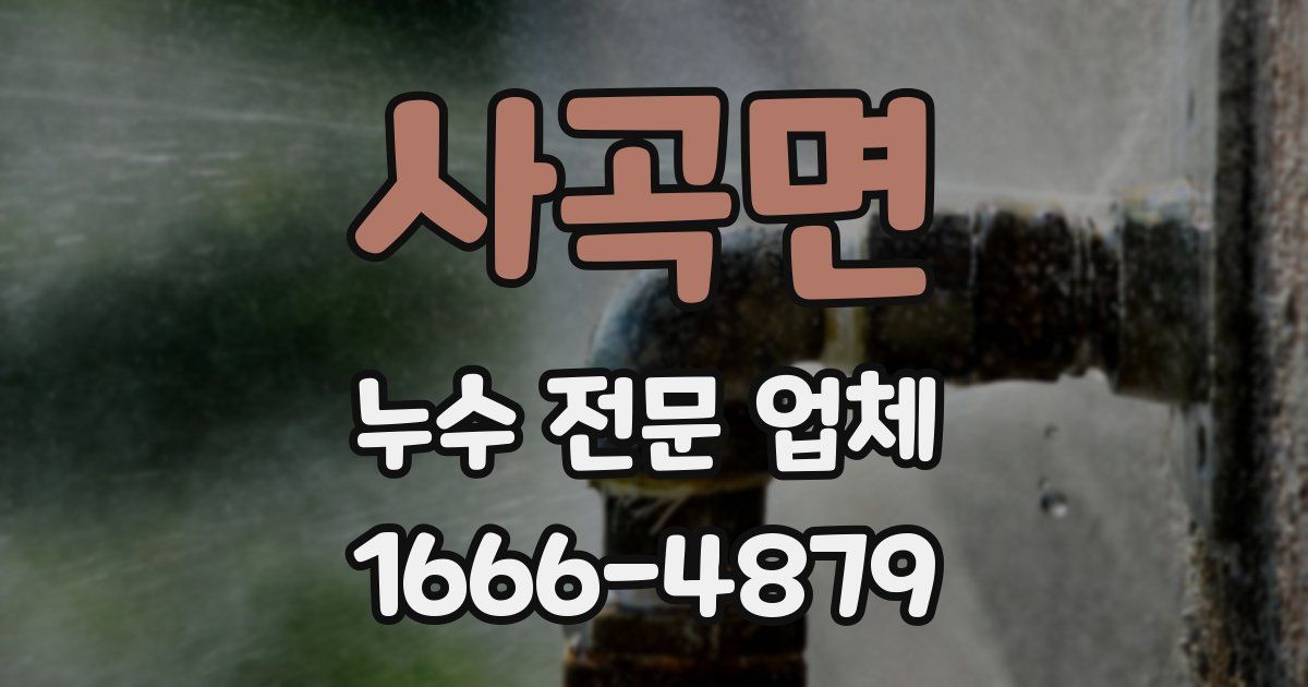 사곡면 누수 전문 업체