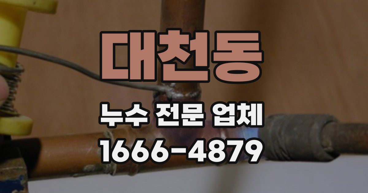 대천동 누수 전문 업체