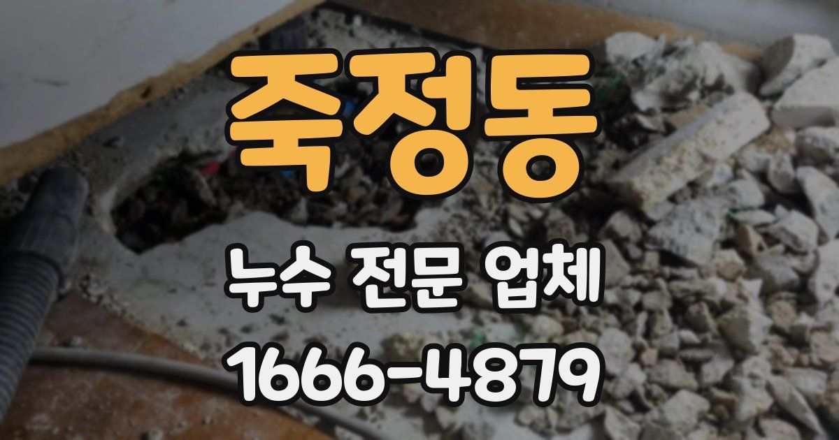 죽정동 누수 전문 업체