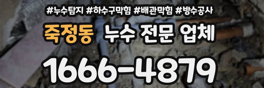 죽정동 누수 전문 업체