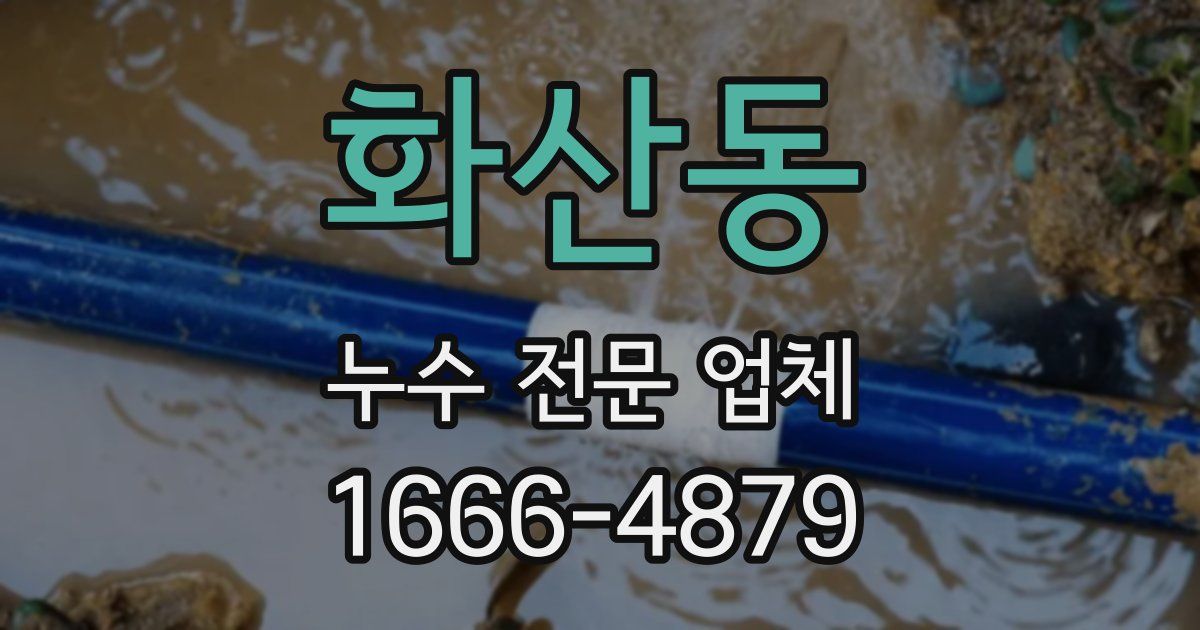 화산동 누수 전문 업체