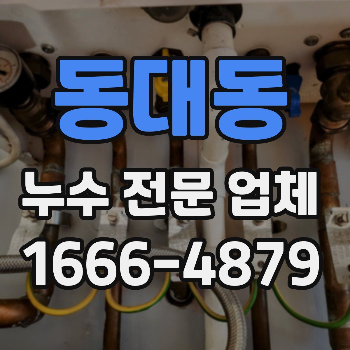 동대동 누수 전문 업체