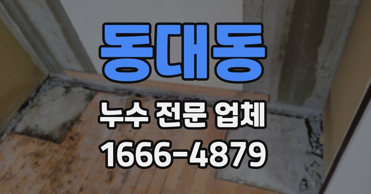 동대동 누수 전문 업체