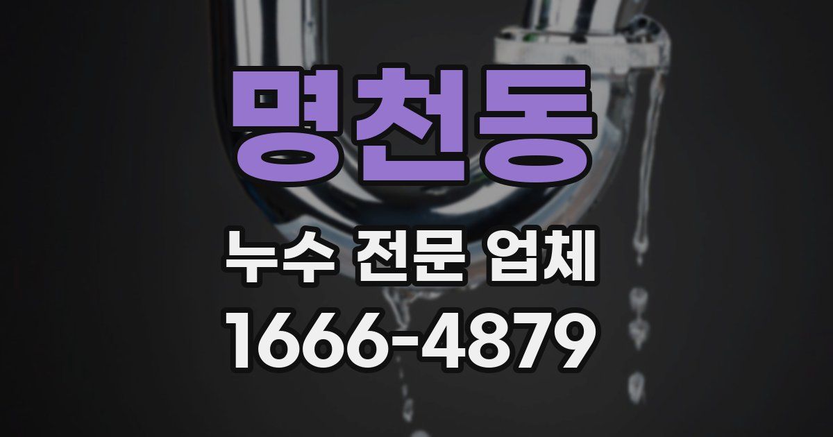 명천동 누수 전문 업체