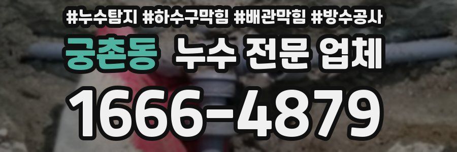 궁촌동 누수 전문 업체
