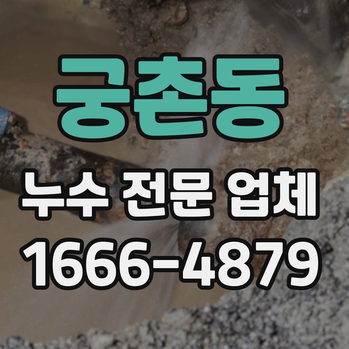 궁촌동 누수 전문 업체