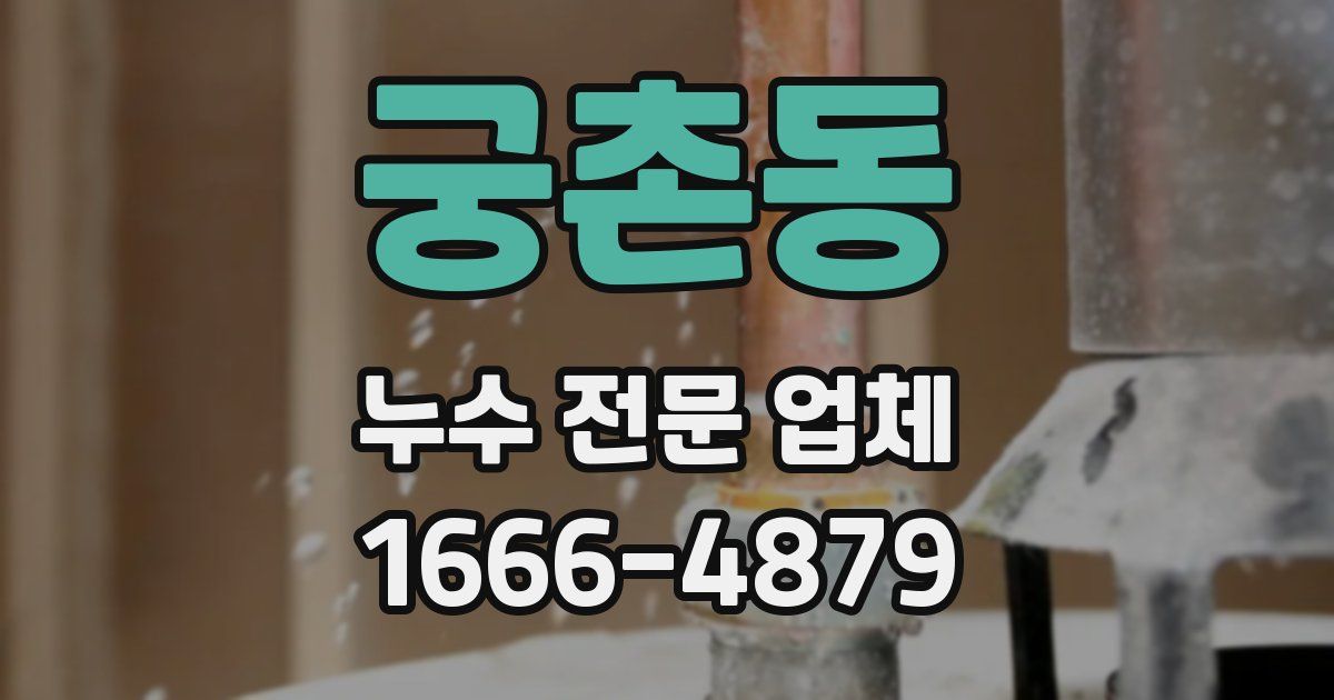 궁촌동 누수 전문 업체