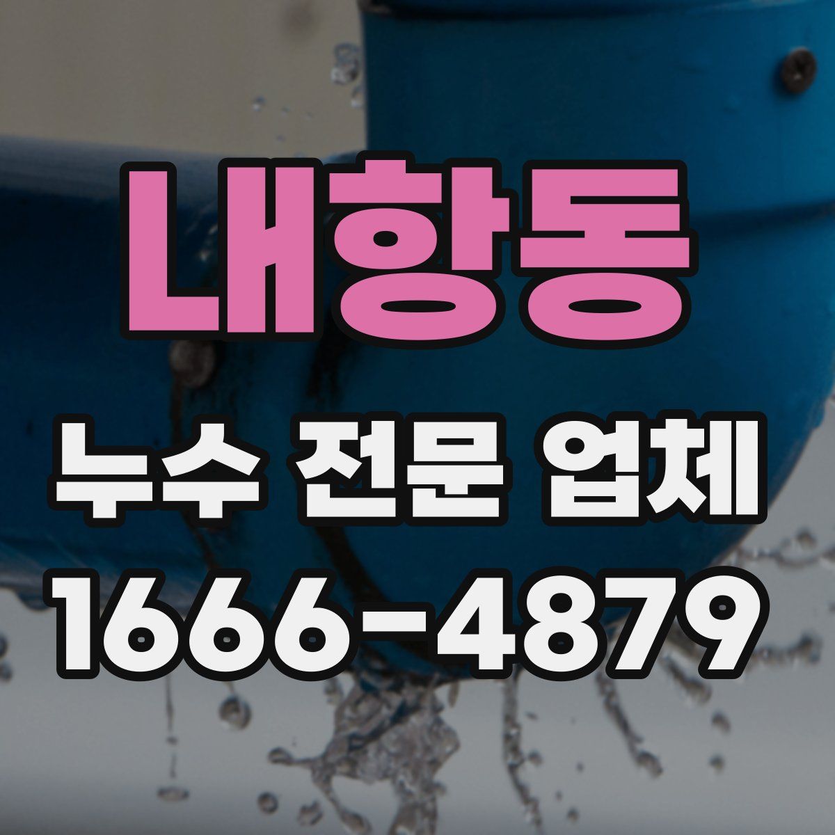 내항동 누수 전문 업체