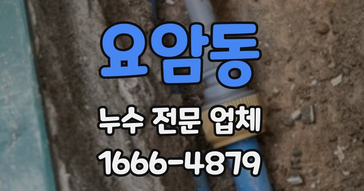 요암동 누수 전문 업체