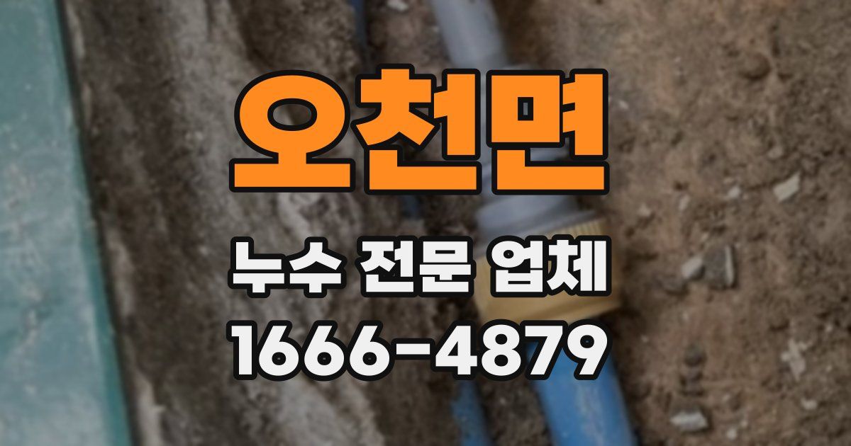 오천면 누수 전문 업체