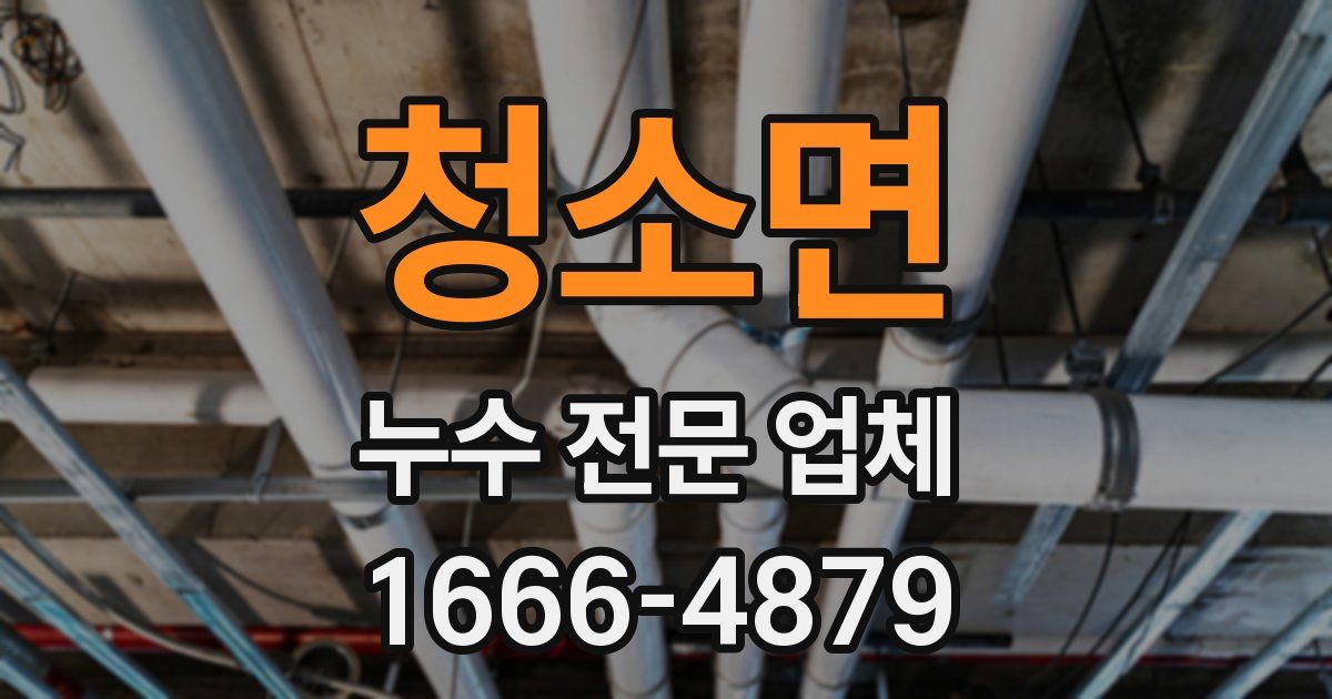 청소면 누수 전문 업체