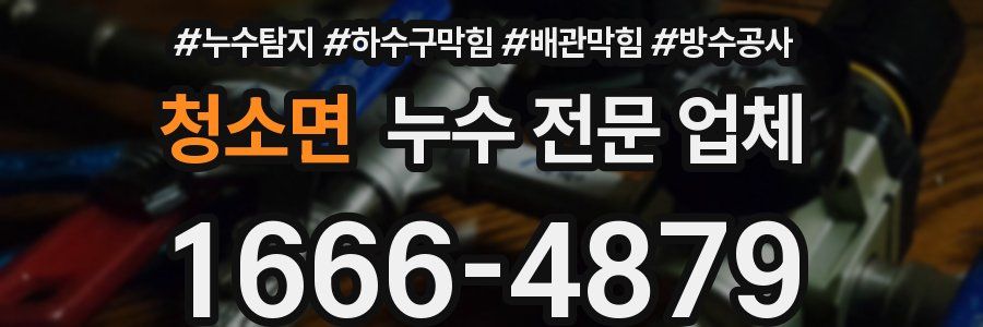 청소면 누수 전문 업체