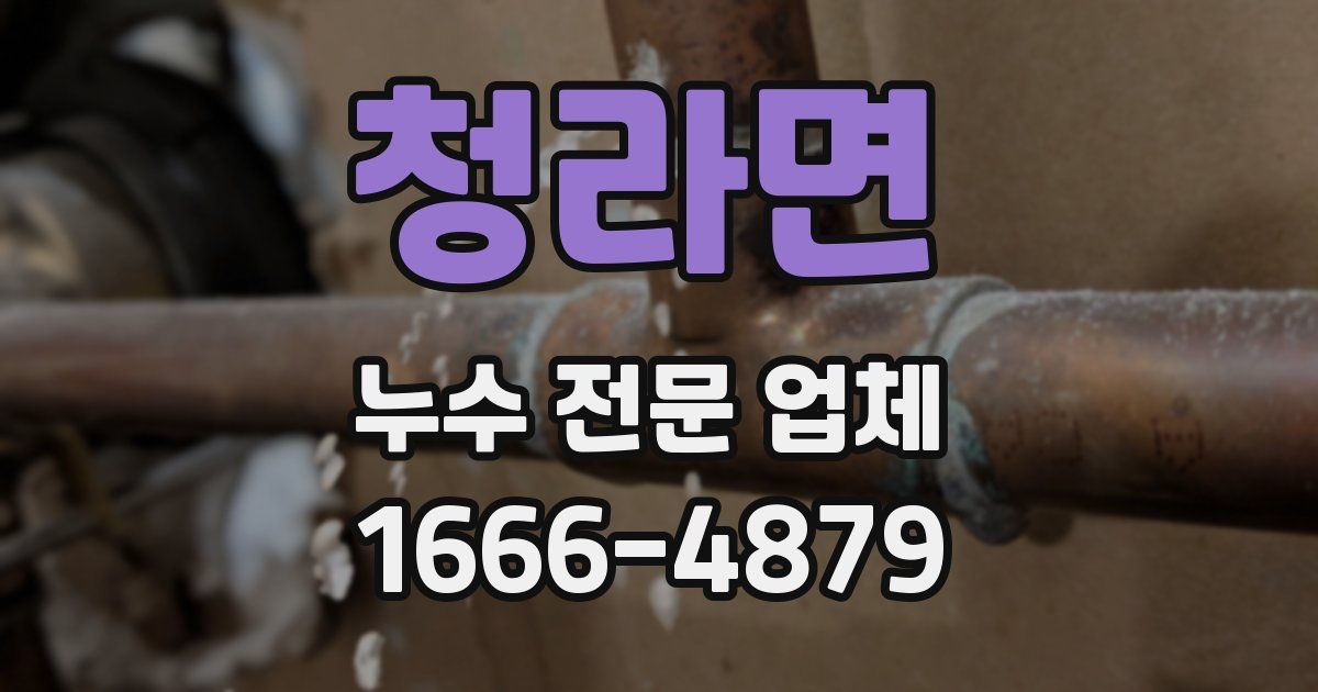 청라면 누수 전문 업체