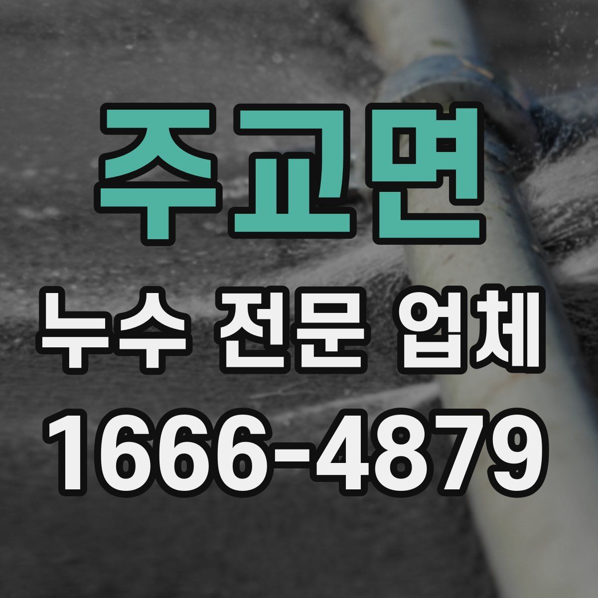 주교면 누수 전문 업체