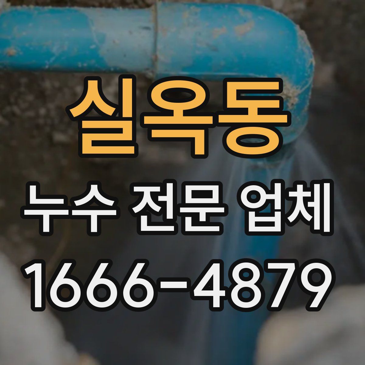 실옥동 누수 전문 업체